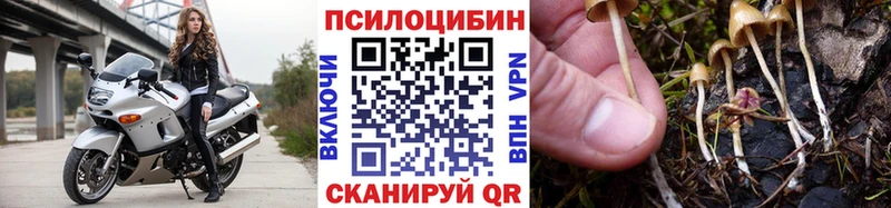 Псилоцибиновые грибы Psilocybine cubensis магазин Ухта