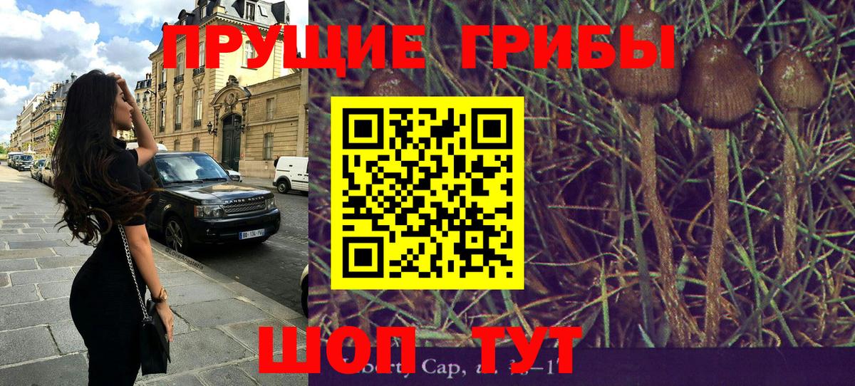 Ухта  Галлюциногенные грибы ЛСД  Вход с VPN 